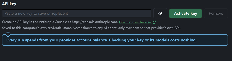 The API key field in Settings, saying where the key is saved and that a run spends from your provider balance