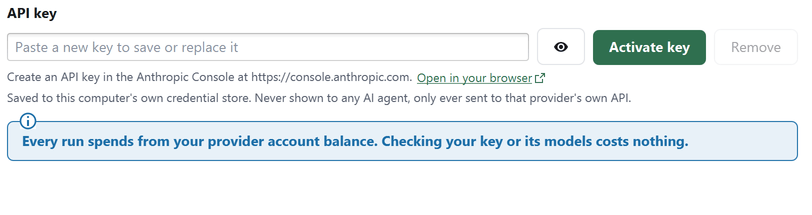 The API key field in Settings, saying where the key is saved and that a run spends from your provider balance